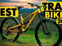 Discover the Top 10 Best Value Trail Bikes of 2024 for Ultimate Off-Road Adventure